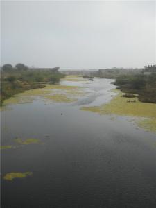 DSCN0639