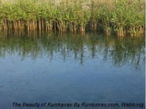 Photo0092