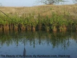 Photo0093